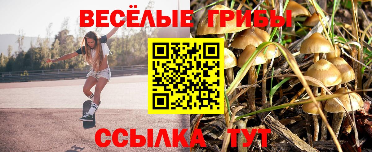 Псилоцибиновые грибы Psilocybe  Псилоцибиновые грибы MAGIC MUSHROOMS  Вход с VPN  Кувандык 